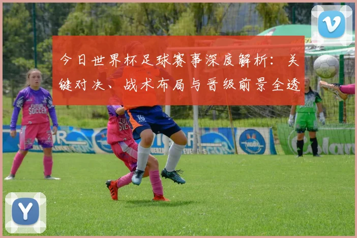 今日世界杯足球赛事深度解析：关键对决、战术布局与晋级前景全透视